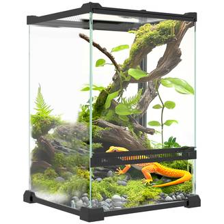 Terrarium en verre noir 20 x 20 x 30 cm - PANGIVO