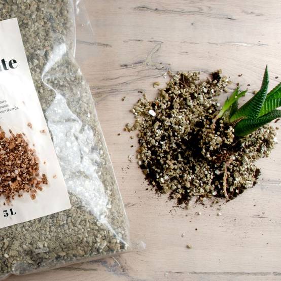 Radis et Capucine - Radis et Capucine - Sac de Vermiculite - 500g - Image 2