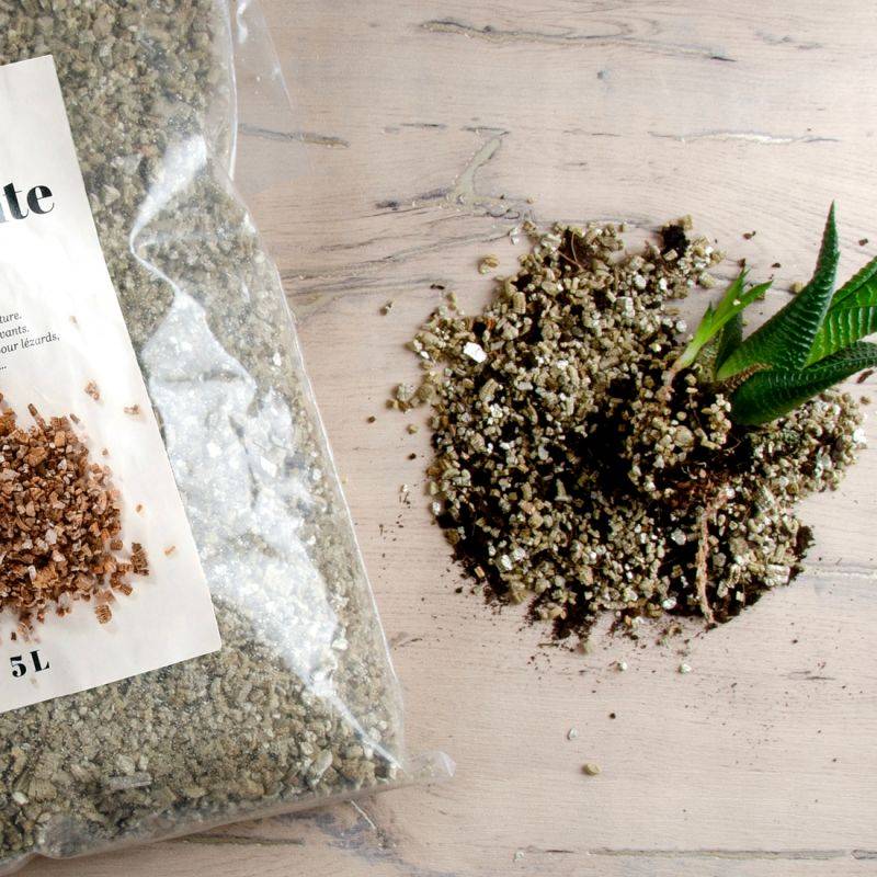 Radis et Capucine - Radis et Capucine - Sac de Vermiculite - 500g - Image 2