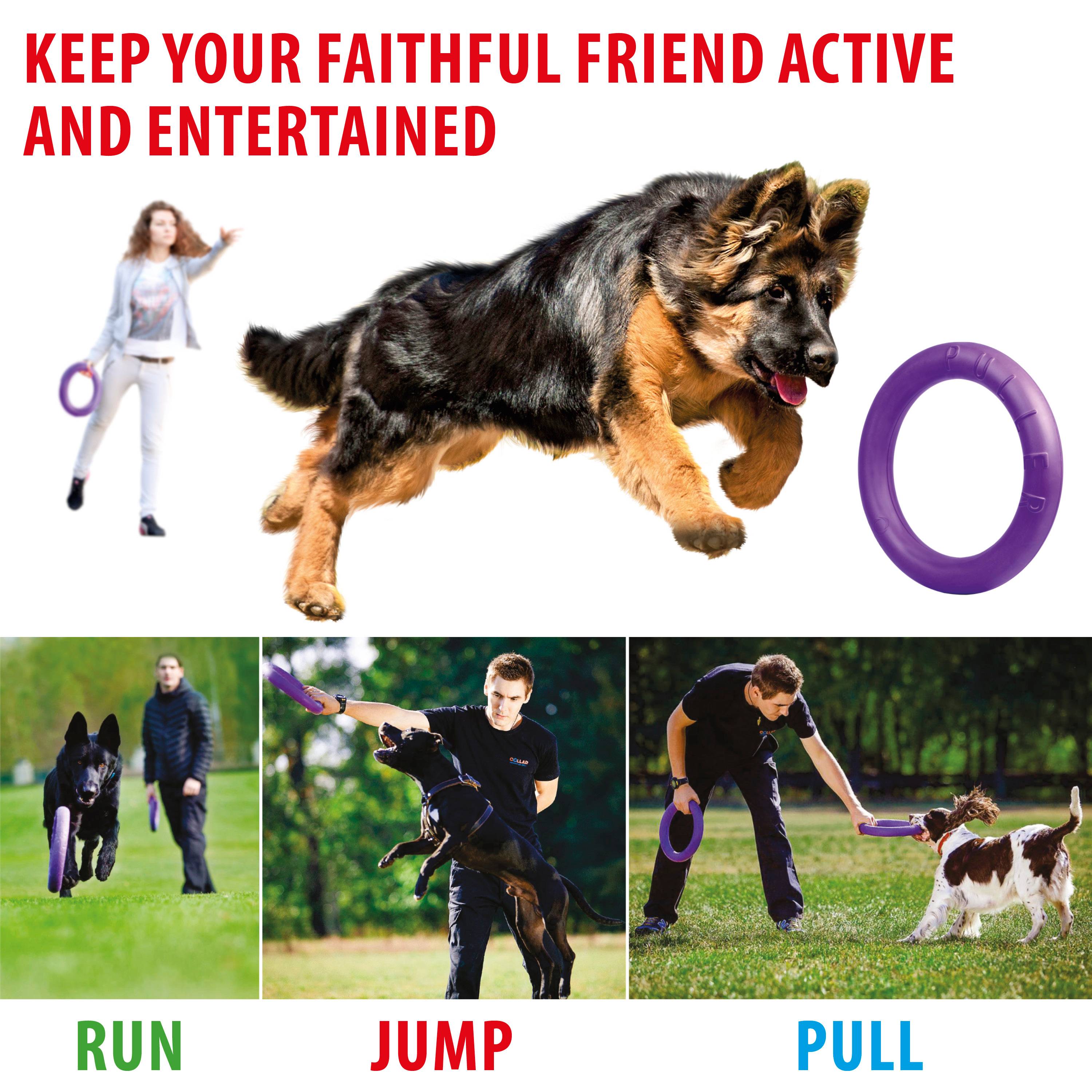 Ferplast - Ferplast Jouet Chien, Anneau Entrainement Chien à Mâcher, Course, Saut, Tir, Matériau Robuste Non Toxique, Flottant, PULLER STANDARD, Jouets pour - Image 4