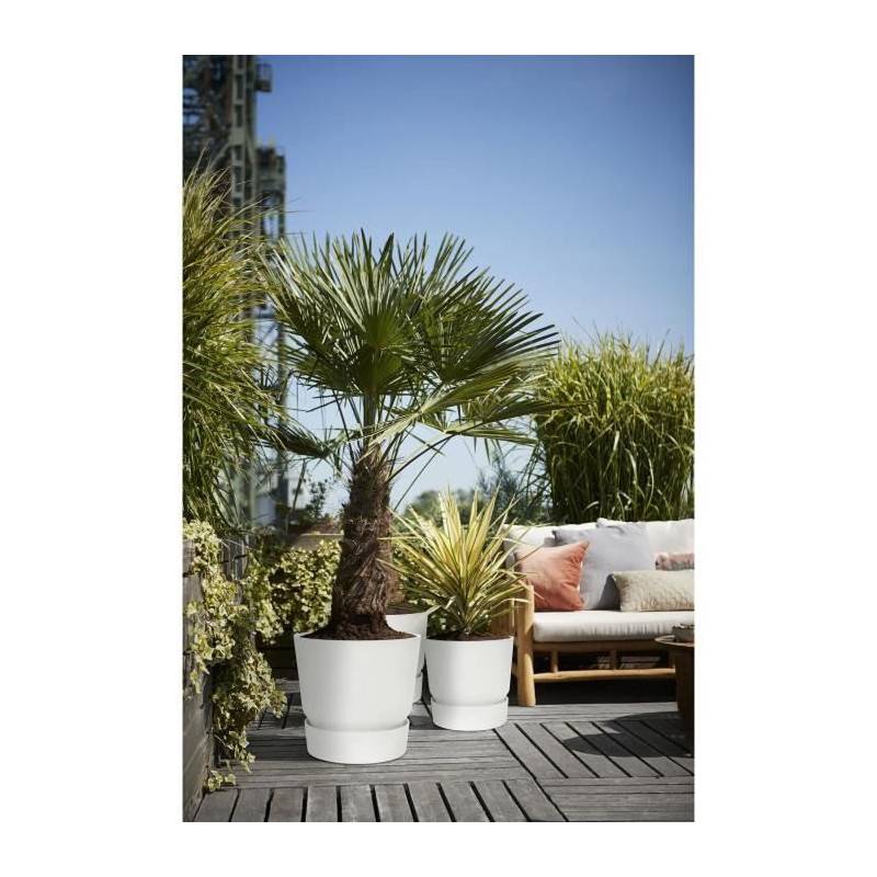 Elho - Elho  Greenville Pflanztopf O47 Cm Pot A Plantes Weiss - 123 - Image 6