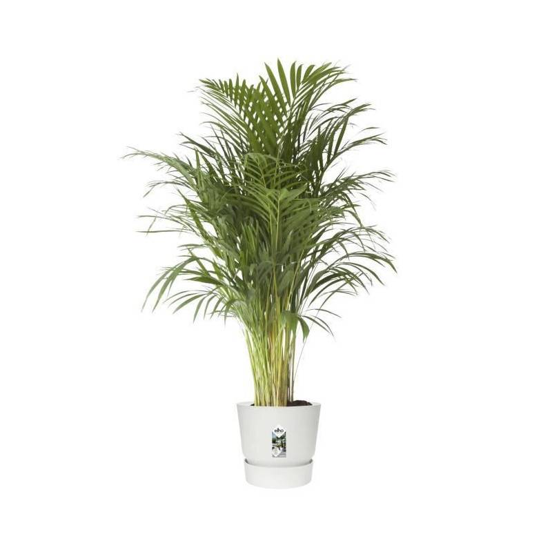 Elho - Elho  Greenville Pflanztopf O47 Cm Pot A Plantes Weiss - 123 - Image 5