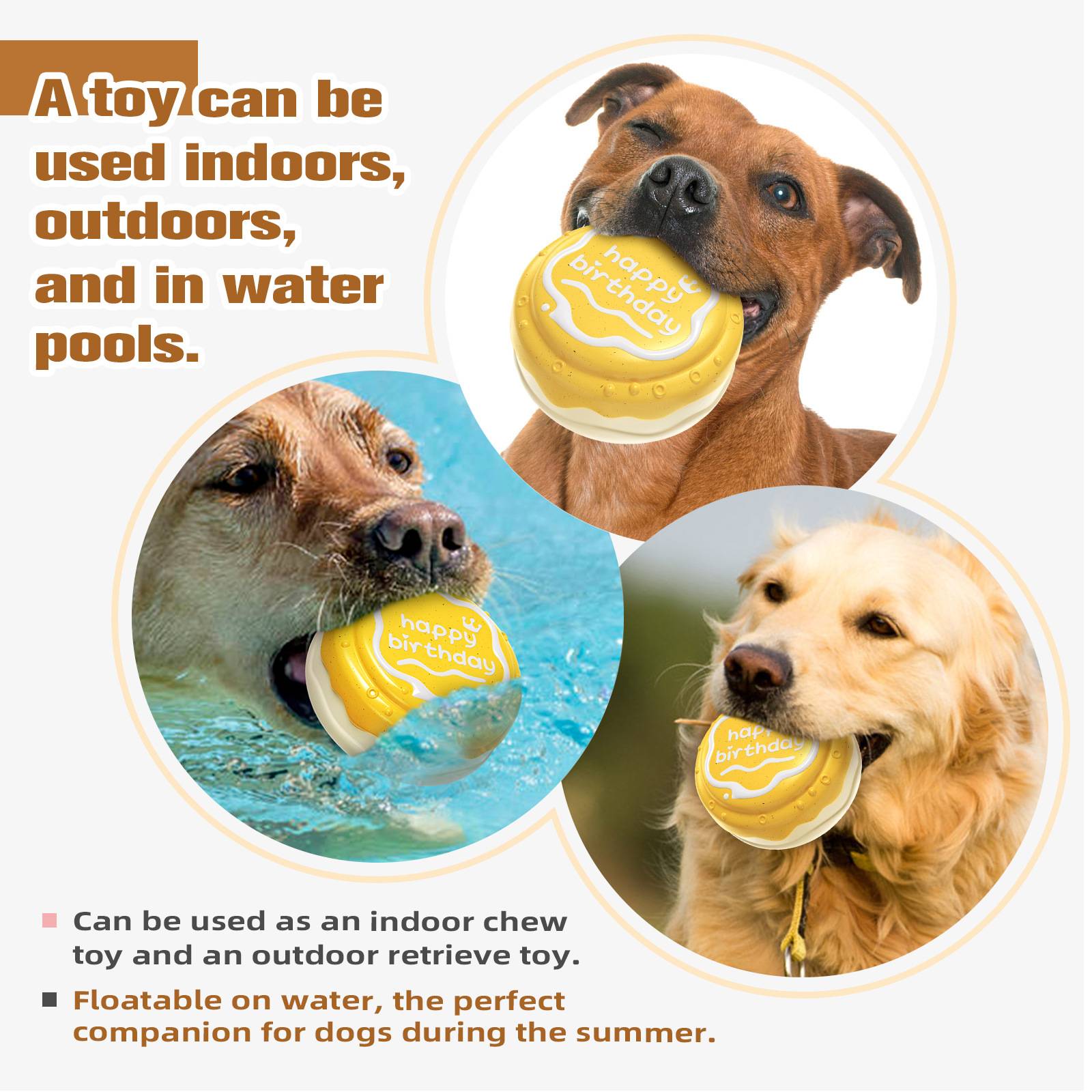 DtopbuyAge - Jouets pour mâcher pour chien Gâteau d'anniversaire - Image 4