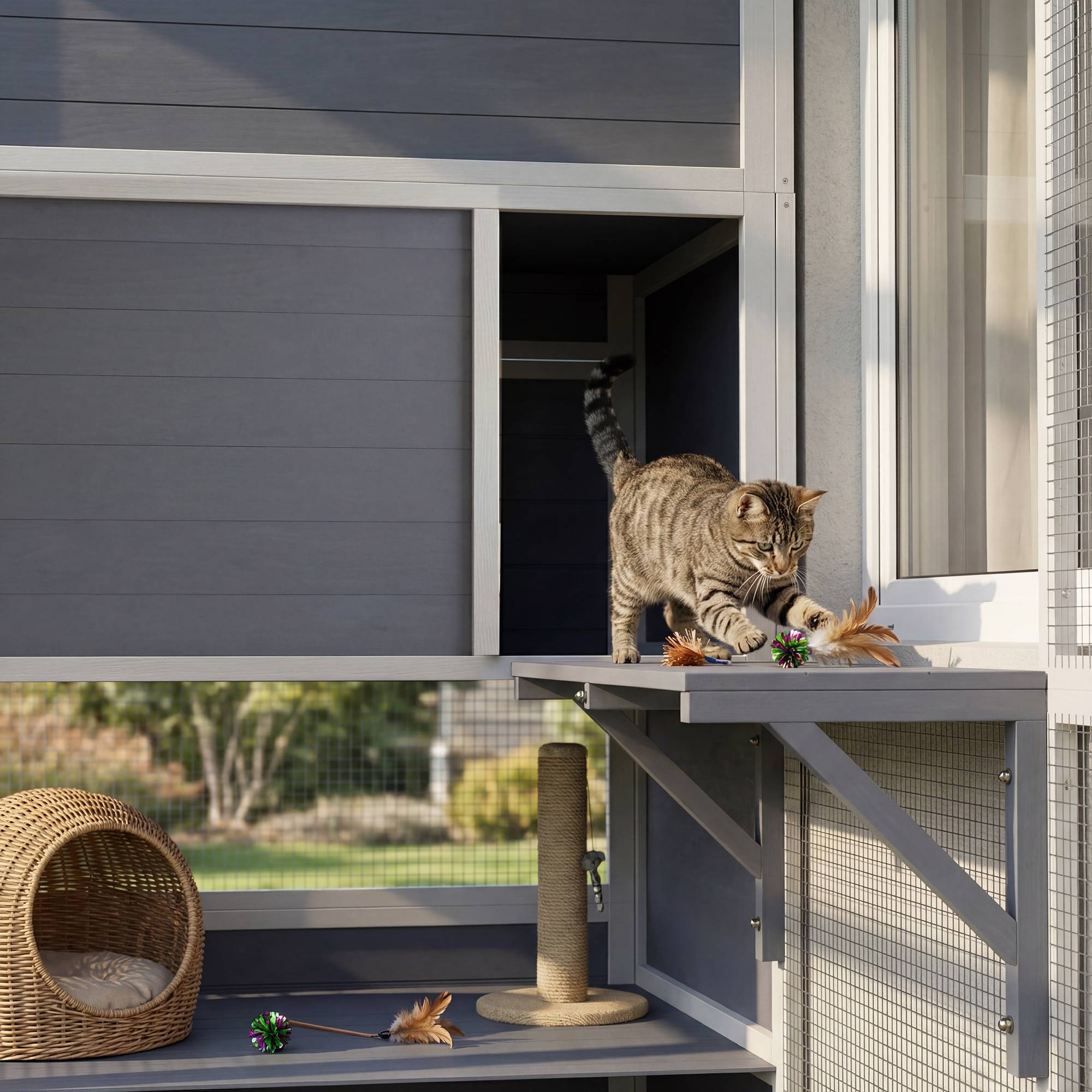 ComfortXL - Enclos pour chat extérieur bois gris avec 3 plateformes et toit résistant pour 3 à 4 chats jusqu’à 10 kg - Image 9