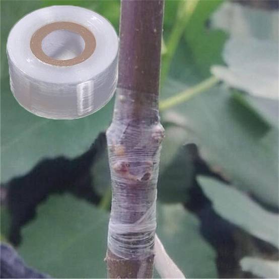 Ruban de greffage élastique transparent pour plantes et arbres fruitiers, 3 cm x 200 m-Lytech - Image 3
