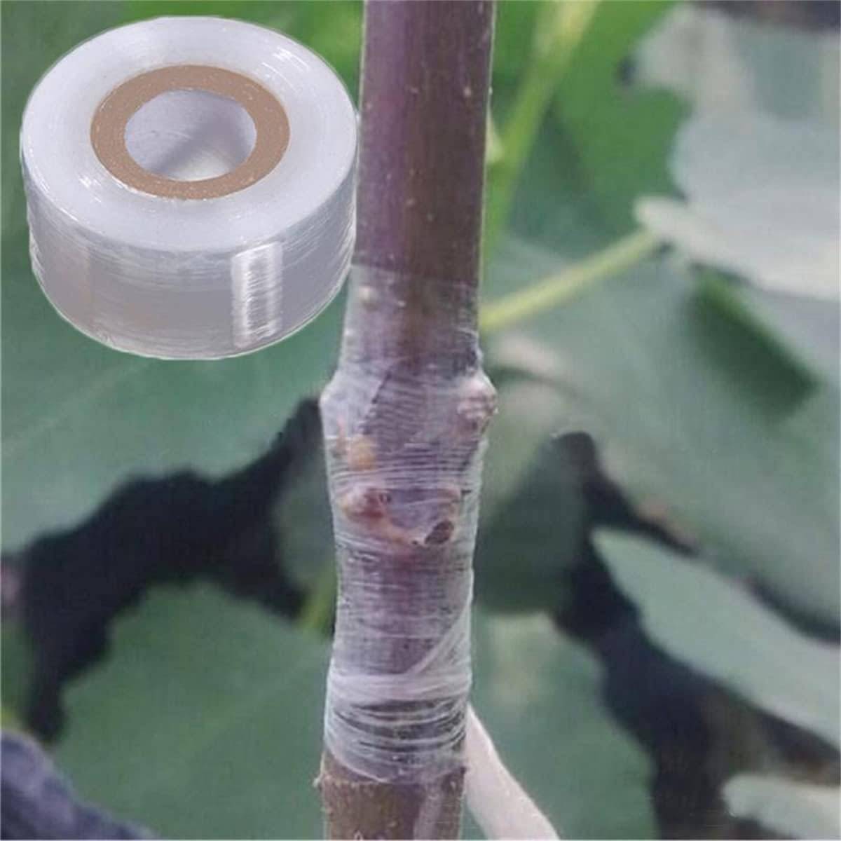 Ruban de greffage élastique transparent pour plantes et arbres fruitiers, 3 cm x 200 m-Lytech - Image 3