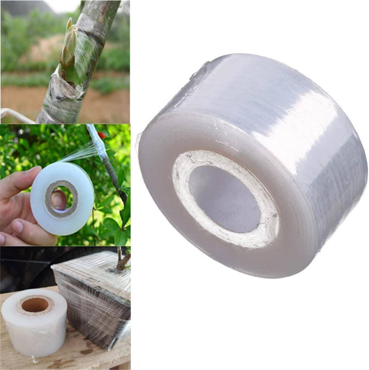Ruban de greffage élastique transparent pour plantes et arbres fruitiers, 3 cm x 200 m-Lytech - Image 5