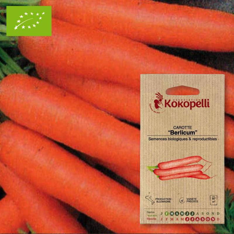 Association Kokopelli - Carotte Berlicum- Graines bio à semer - Image 1
