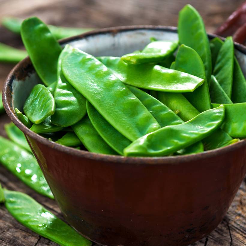 Pois à rames Corne de Bélier mangetout - Pisum sativum le sachet de 250-350 graines environ (100g)