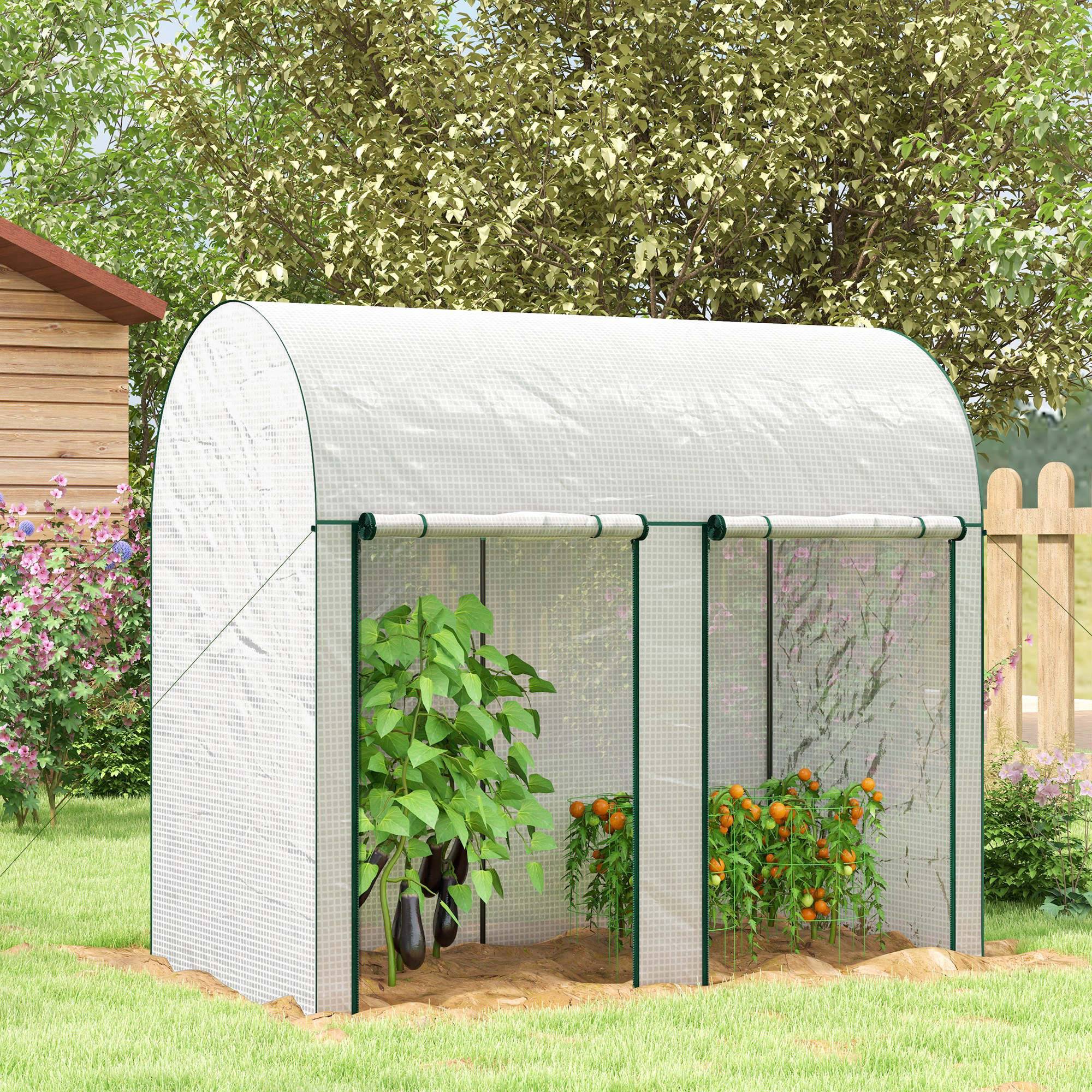 ComfortXL - Serre de jardin acier PE 200 x 100 x 178 cm blanche pour tomates et plantes grimpantes - ComfortXL Outdoor Living - Image 3
