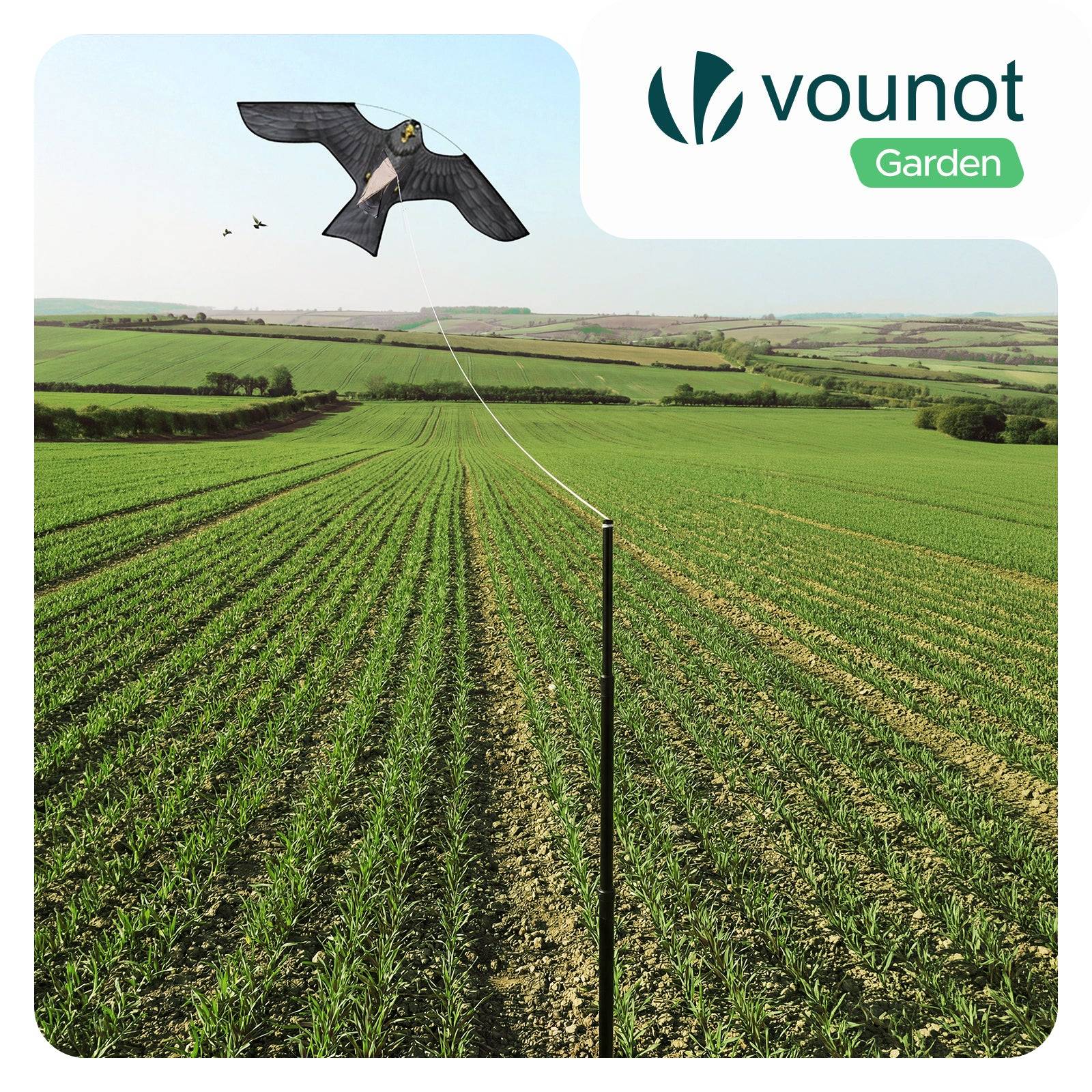 Lot de 2 Cerf volant anti oiseaux effaroucheur avec mat Faucon modele D et G - Image 2
