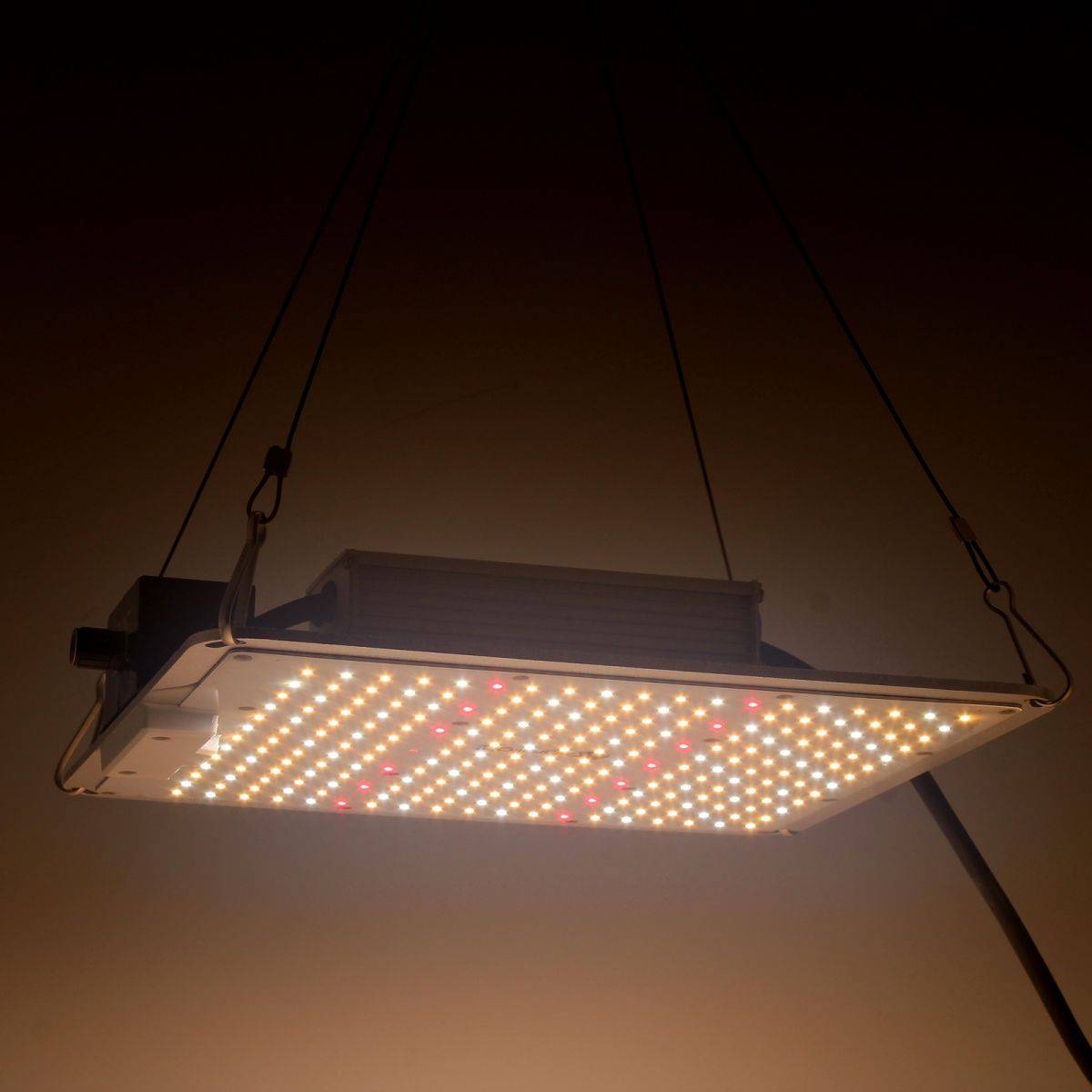 Panneau LED Quantum BOARD 120W Contrôlable & Dimmable - LEDS Samsung - AGROLIGHT Led - Image 4