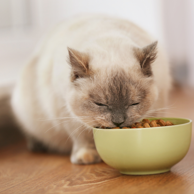 Alleva - Croquettes Sans Céréales Poulet & Canard pour Chat Stérilisé - Image 2