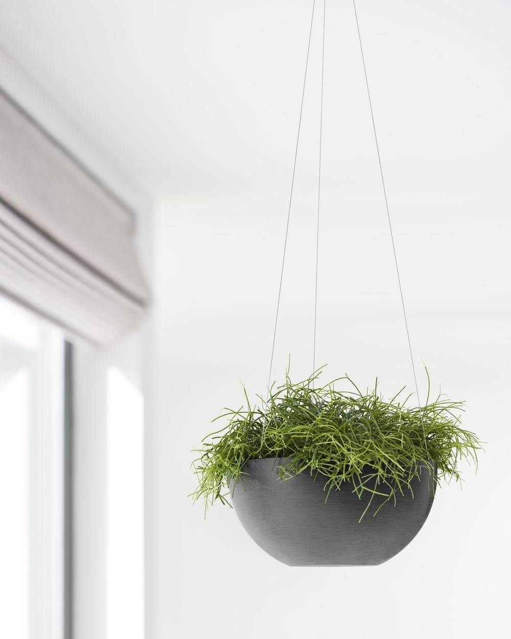 Ecopots - Pot supsendu Brussels 27 Gris Foncé - Ø 26,5 x H. 13 cm - 4,2 L ECOPOTS - Image 5
