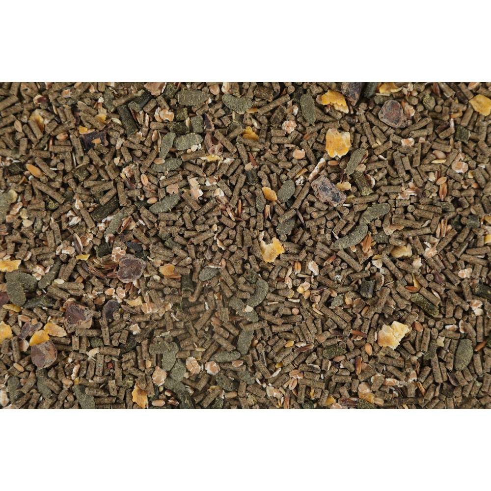 Zolux - zolux - Alimentation Granulés lapin nain adulte de 6 mois et + nutrimeal  800g - Image 2