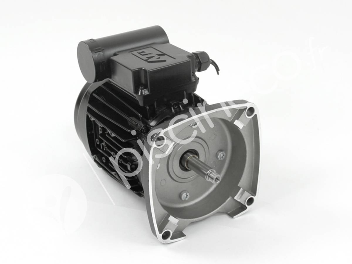 Moteur pour pompes La Sta-Rite 1,50 CV Tri - Pentair - Image 4