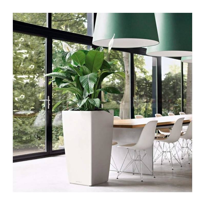 Lechuza - Lechuza Jardiniere Cubico 50 All-in-one Charbon 18164 - Image 3