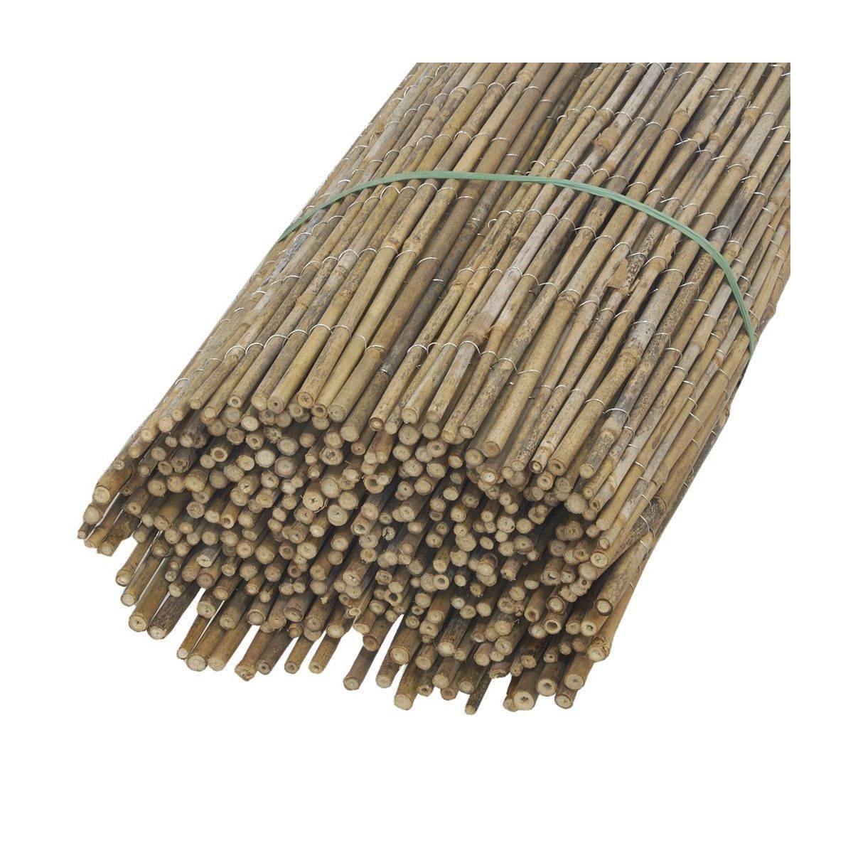 Jardindeco - Canisse en petit bambou 1 x 5 m - Image 1