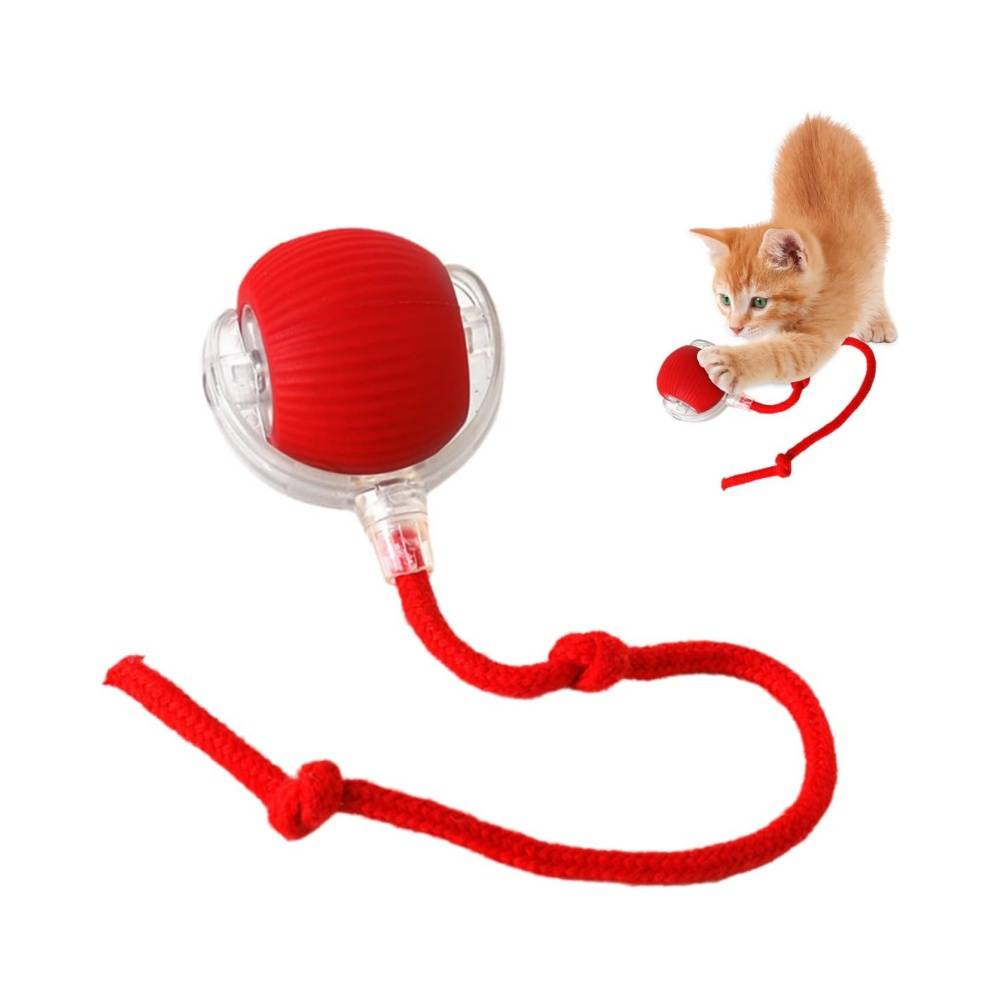 Jeu interactif de balle pour chat DtopbuyAge - Image 1