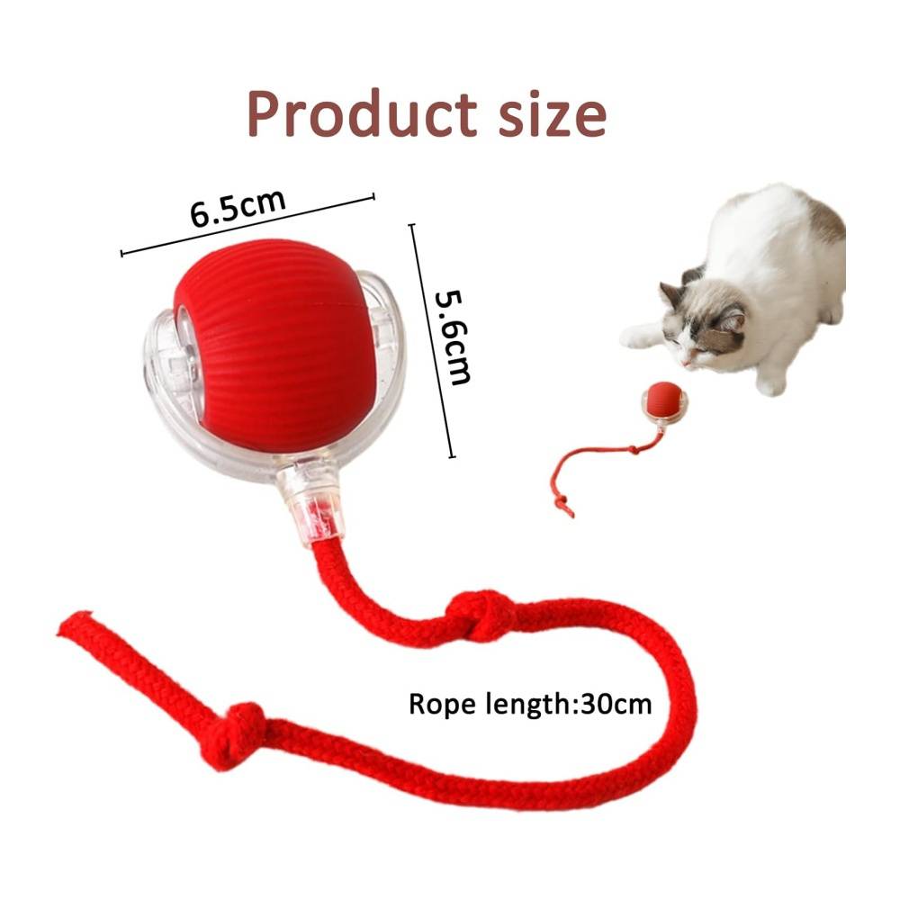 Jeu interactif de balle pour chat DtopbuyAge - Image 2