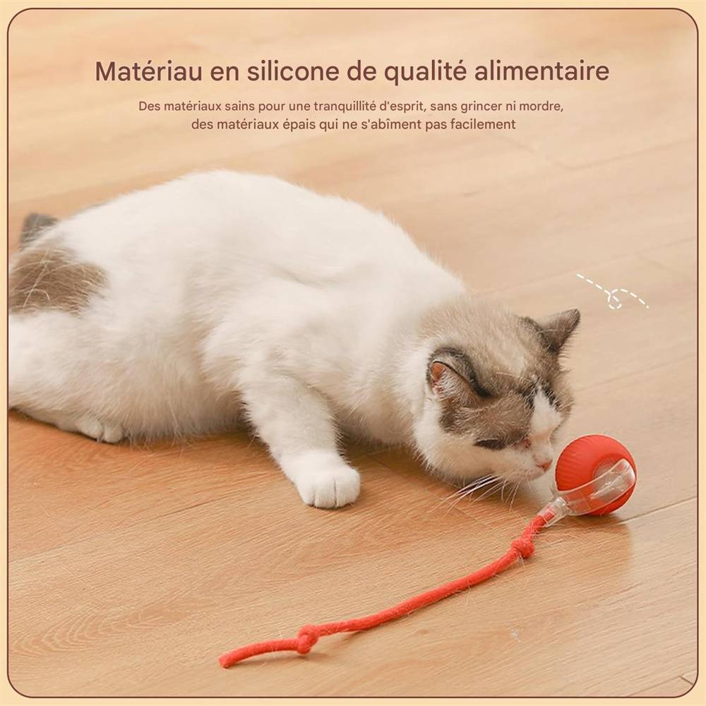 Jeu interactif de balle pour chat DtopbuyAge - Image 4