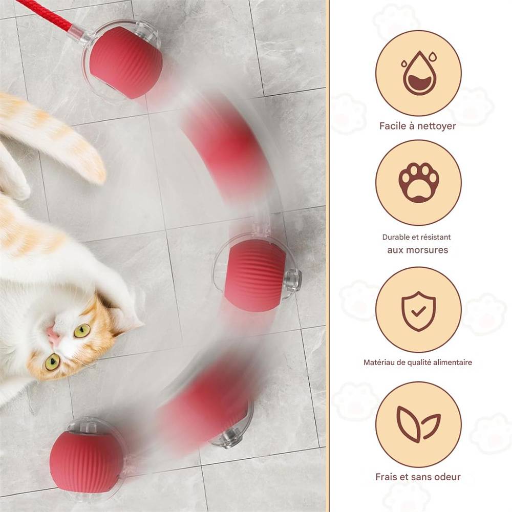 Jeu interactif de balle pour chat DtopbuyAge - Image 5