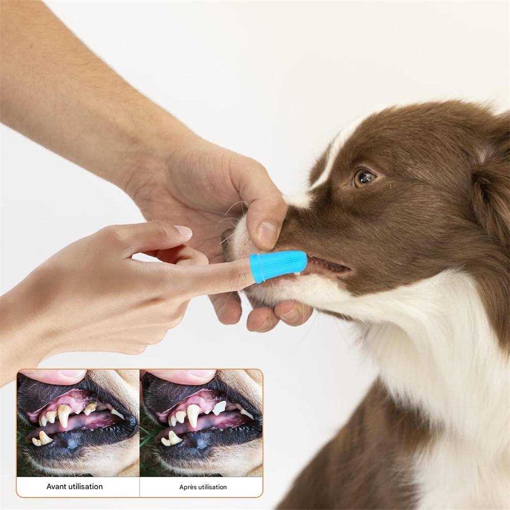 DtopbuyAge - Kit de brosses à dents pour chiens en 4 pièces DtopbuyAge - Image 4