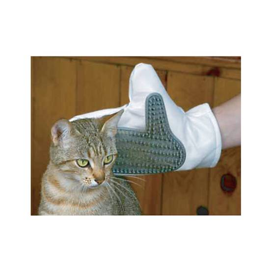Zolux - Gant de toilettage chiens et chat pour chien couleur aléatoire - Image 5