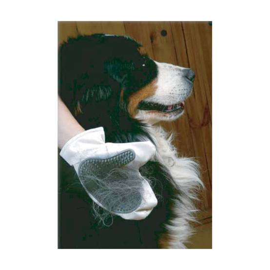 Zolux - Gant de toilettage chiens et chat pour chien couleur aléatoire - Image 6