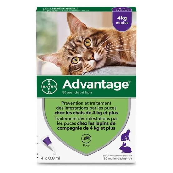 Bayer - PIPETTES ANTIPARASITAIRE CHAT / LAPIN ADVANTAGE 80 (4-10 kg) - BAYER 6 pipettes