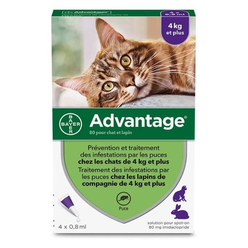 Bayer - PIPETTES ANTIPARASITAIRE CHAT / LAPIN ADVANTAGE 80 (4-10 kg) - BAYER 6 pipettes
