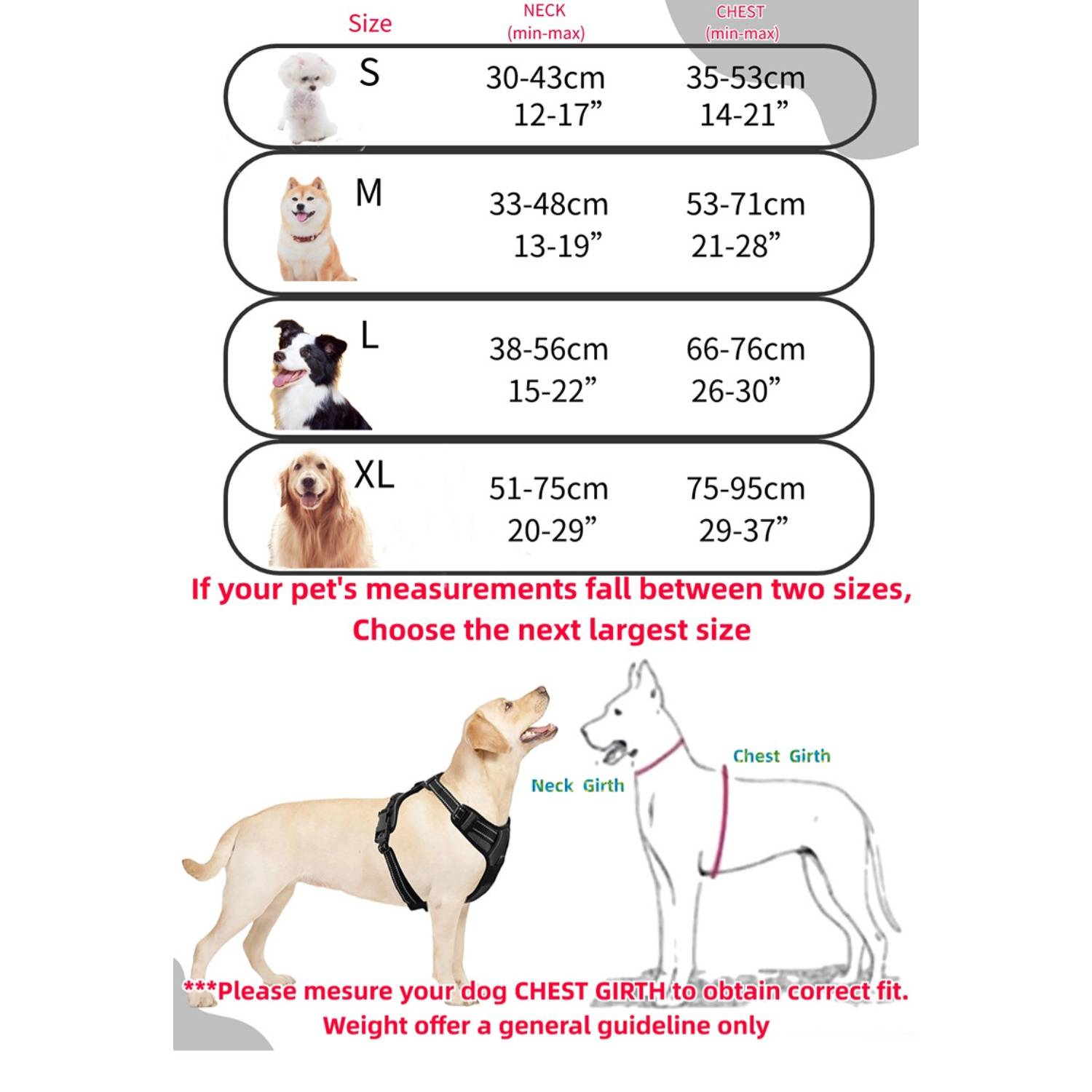 DtopbuyAge - Harnais-Laisse Réfléchissant pour GrandA Chien M - Image 4