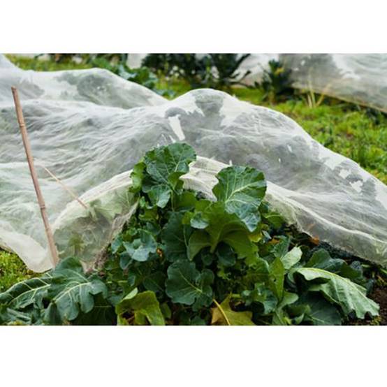 Filet de protection contre les insectes 2x5m - Image 2