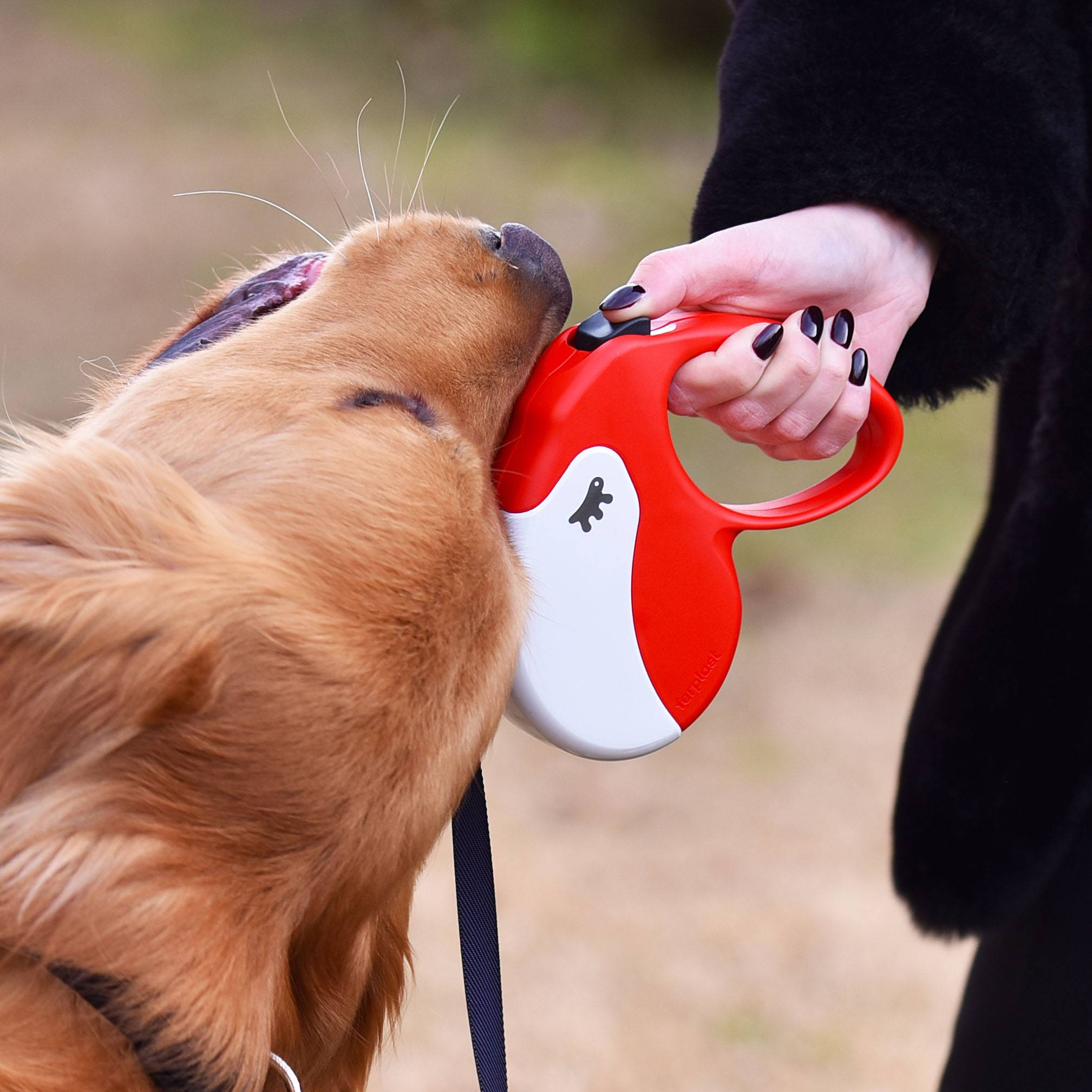 Ferplast - Ferplast Laisse Chien Enrouleur AMIGO LARGE, Laisse pour chiens de grande taille jusqu'à 50 Kg. Sangle Extensible maximum de 5 m. Bouton de - Image 3