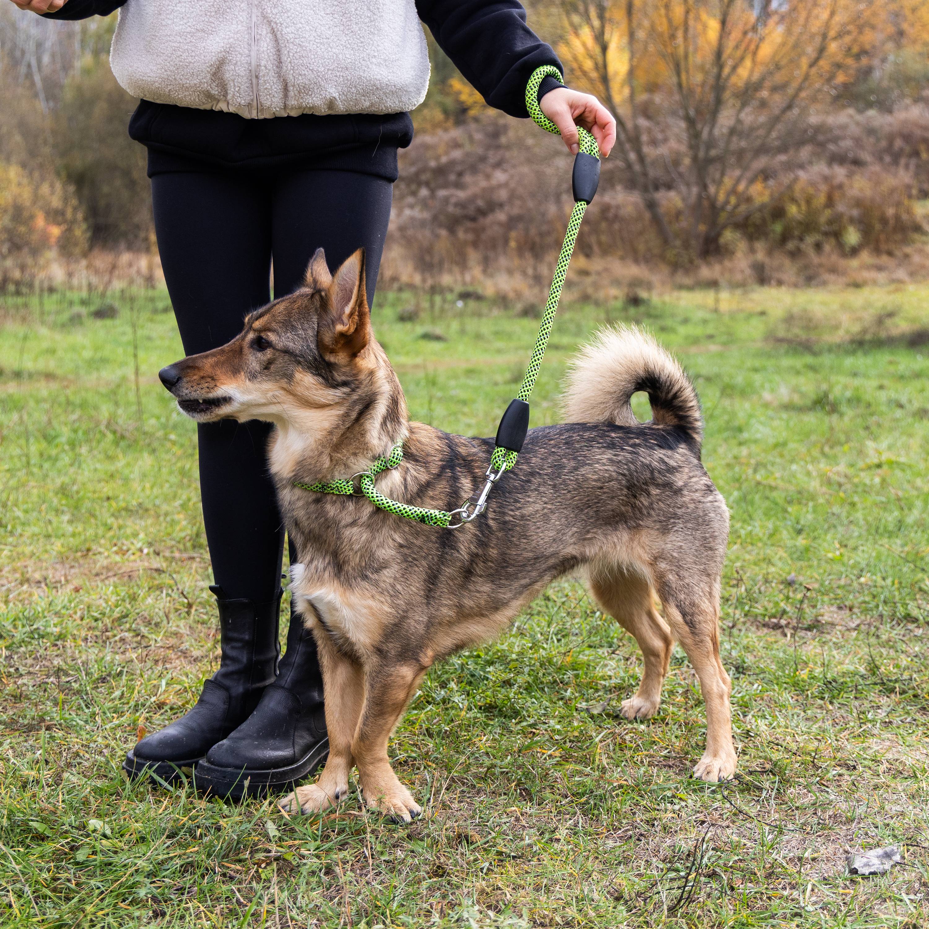 Ferplast - Ferplast Collier semi etrangleur Chiens SPORT REFLEX, Collier Chien, Collier dressage ajustable avec Anneaux Réglables, Collier en Cordon en nylon - Image 3