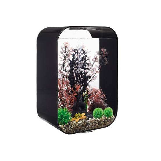 Oase - Aquarium 60l contours noir LIFE 60 MCR BLACK Oase