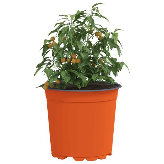 Lot de 100 Pots de Fleurs Plastique pour Plantes de Jardin avec Drainage 15x13 cm Terre Cuite - ComfortXL Outdoor Living - Image 3
