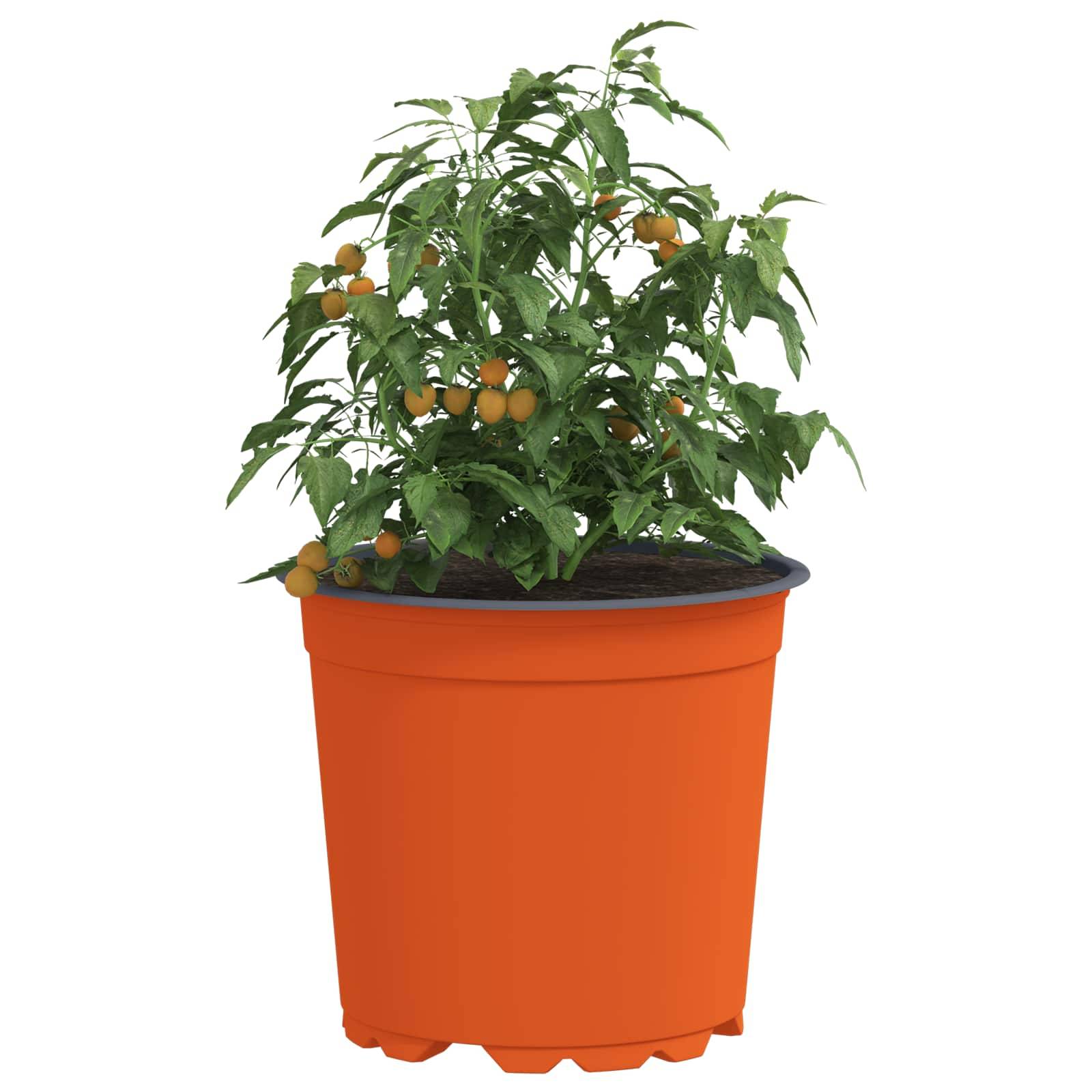 Lot de 100 Pots de Fleurs Plastique pour Plantes de Jardin avec Drainage 15x13 cm Terre Cuite - ComfortXL Outdoor Living - Image 3