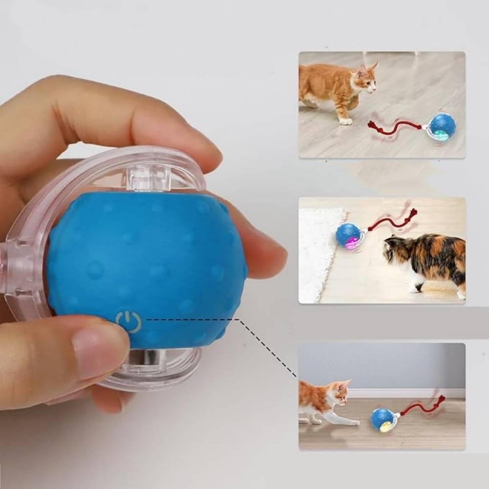IntiMeg - Balle interactive pour chat bleue IntiMeg - Image 3