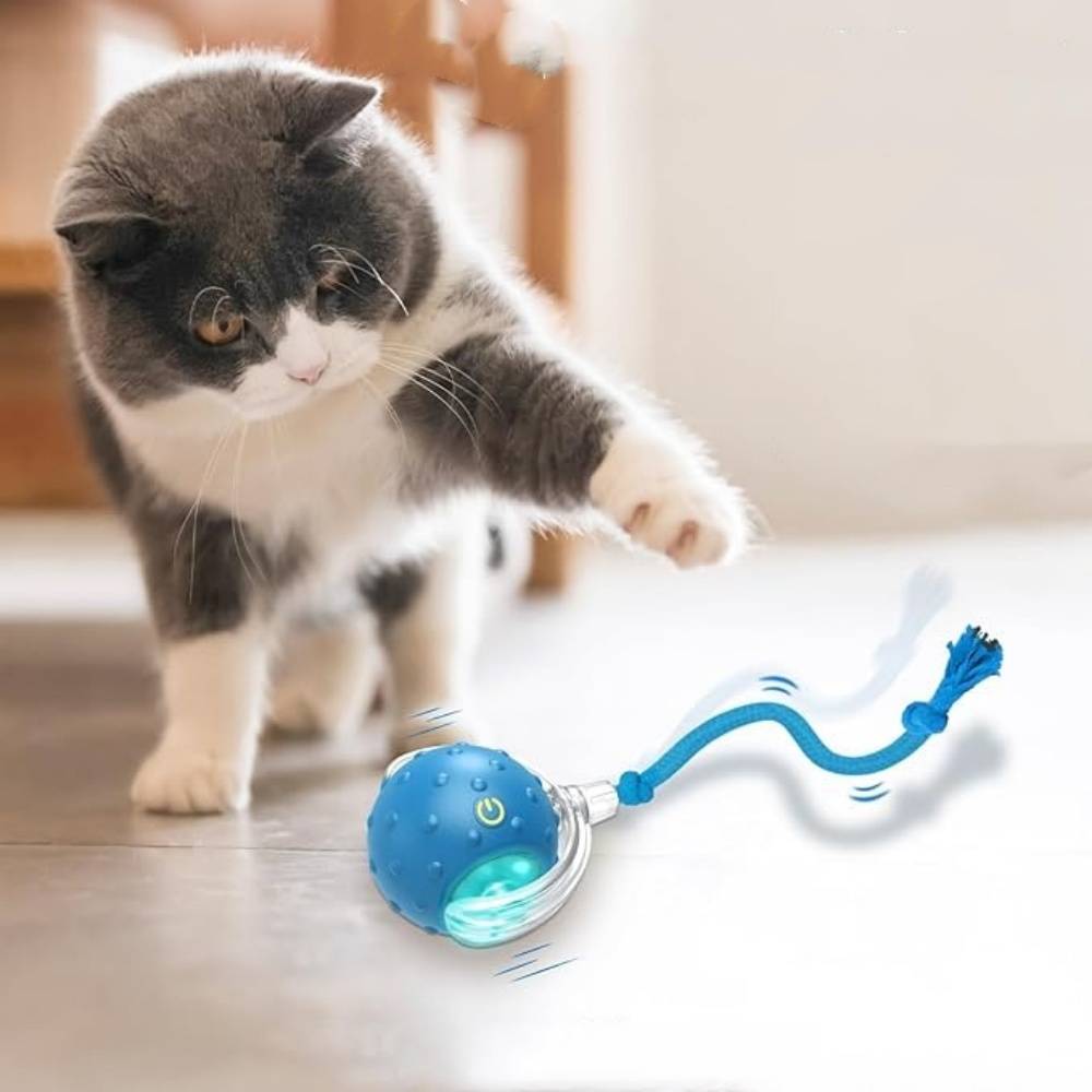 IntiMeg - Balle interactive pour chat bleue IntiMeg - Image 2