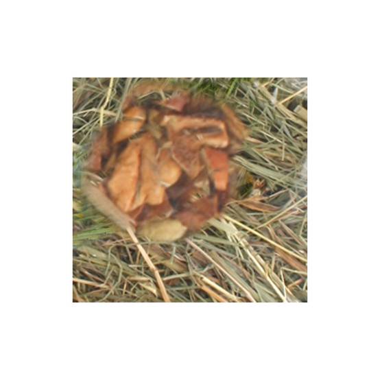 Foin de montagne aux Pommes 500 gr pour rongeurs - Image 2