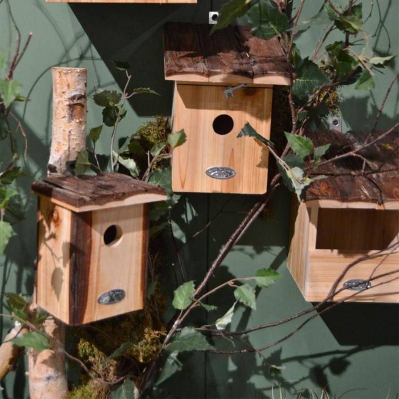 Best For Birds - Nichoir en bois pour mésange charbonière avec toit en écorce - Beige/Marron - L 20,3 x P 21,2 x H 24,4 cm - Image 2