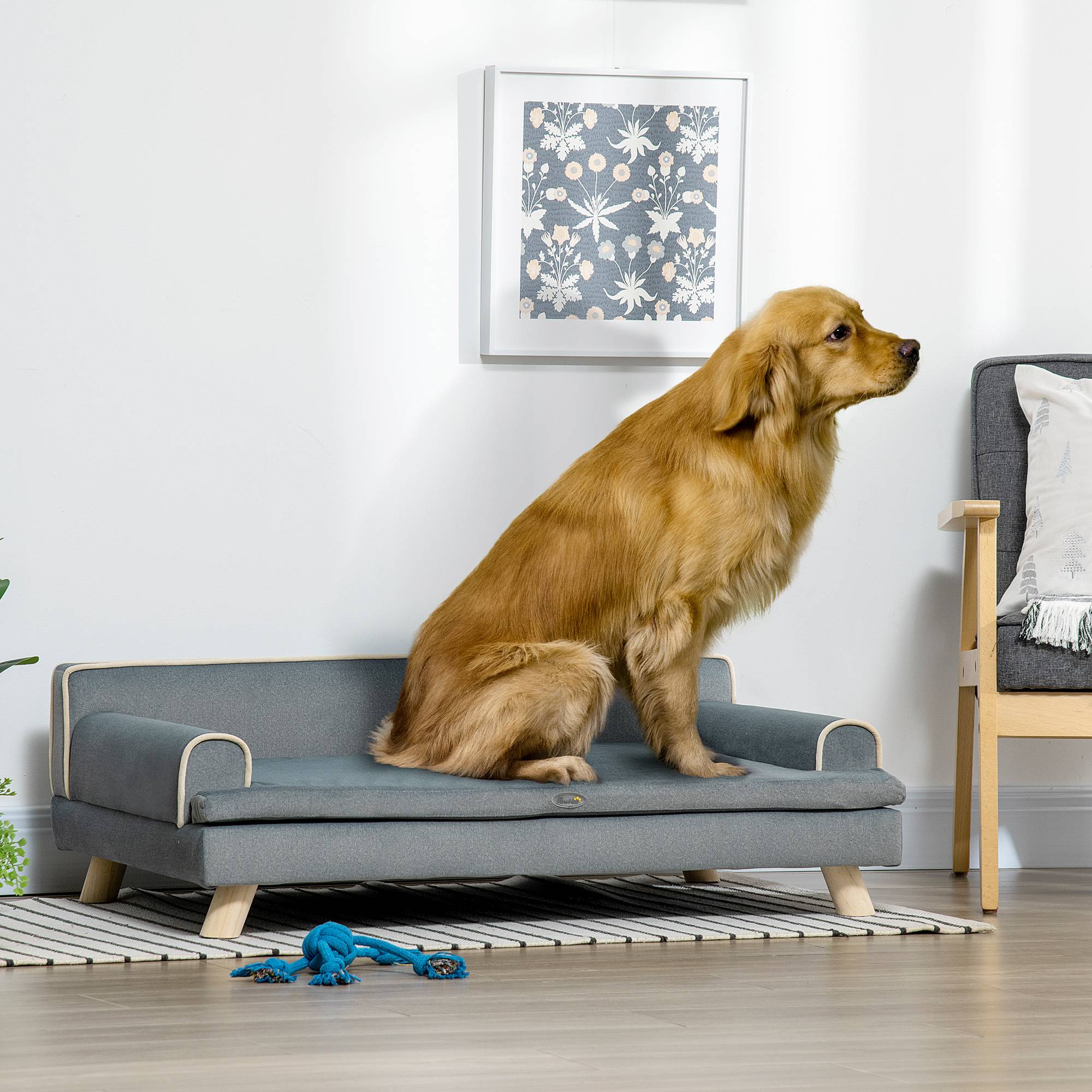 Sans Marque - Canapé pour chien chat design scandinave coussin moelleux amovible pieds bois massif 100 x 62 x 32 cm gris - Image 3