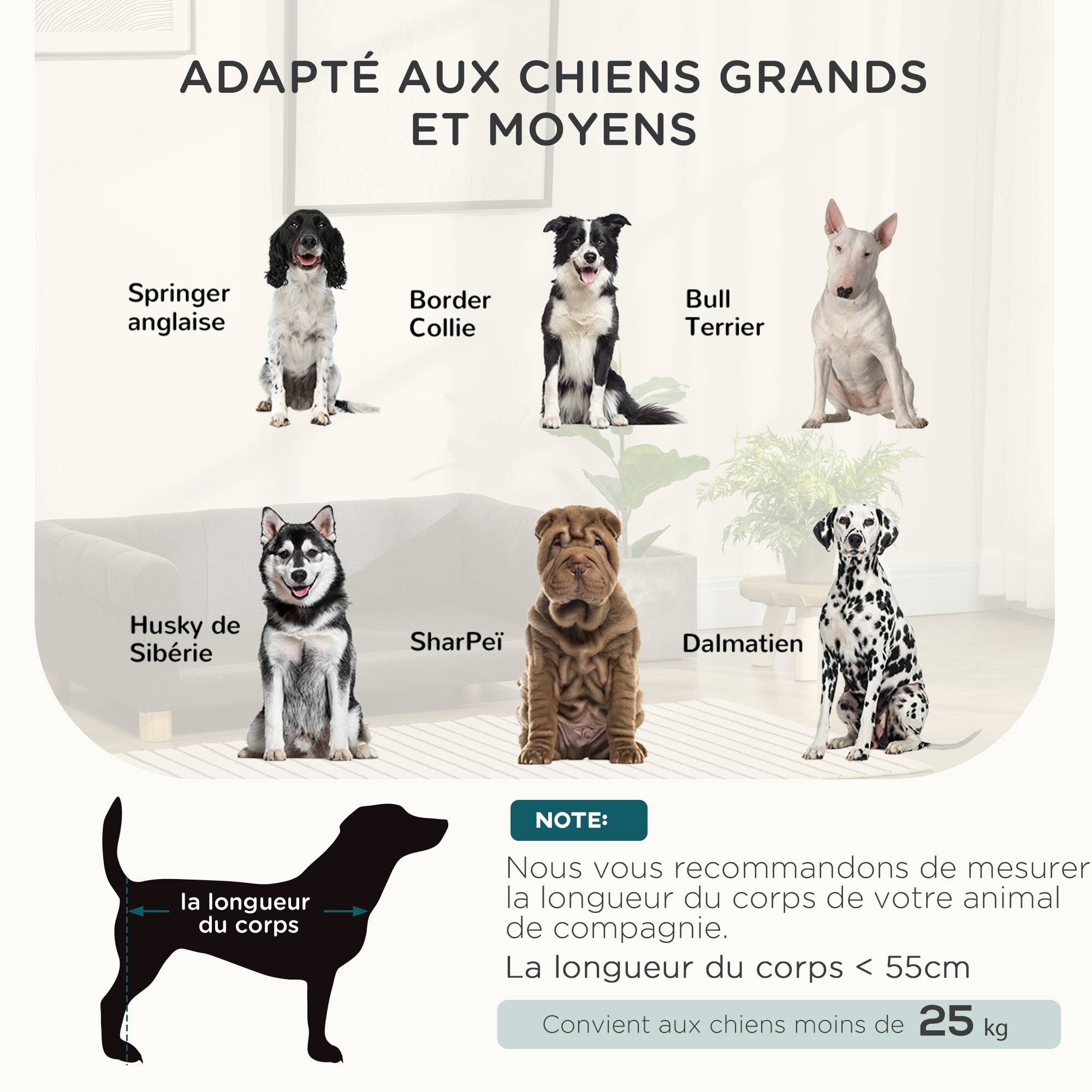 Sans Marque - Canapé pour chien chat design scandinave coussin moelleux amovible pieds bois massif 100 x 62 x 32 cm gris - Image 6