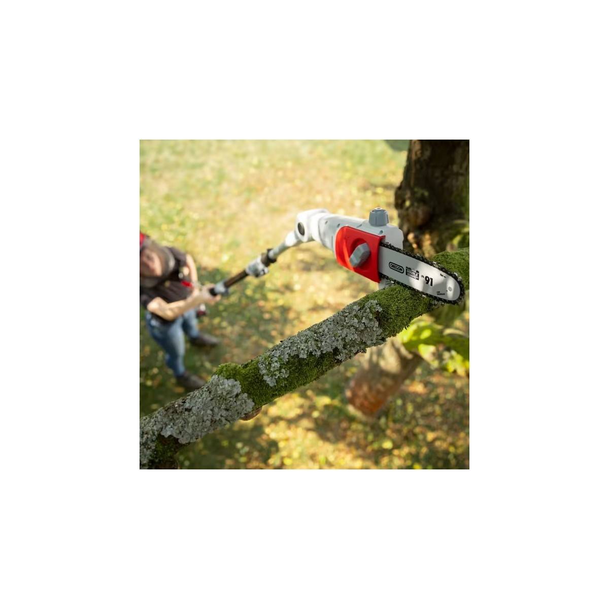 Elagueur sur perche 20V Télescopique jusqu'à 4m - Elagueuse Guide Oregon 20cm- Inclus Batterie lithium 2.0Ah+ Chargeur IKRA - Image 3