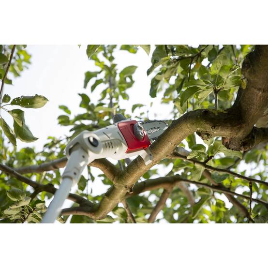 Elagueur sur perche 20V Télescopique jusqu'à 4m - Elagueuse Guide Oregon 20cm- Inclus Batterie lithium 2.0Ah+ Chargeur IKRA - Image 8