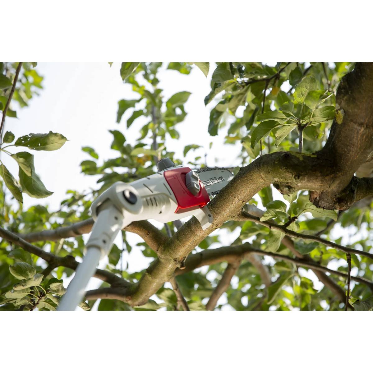 Elagueur sur perche 20V Télescopique jusqu'à 4m - Elagueuse Guide Oregon 20cm- Inclus Batterie lithium 2.0Ah+ Chargeur IKRA - Image 8