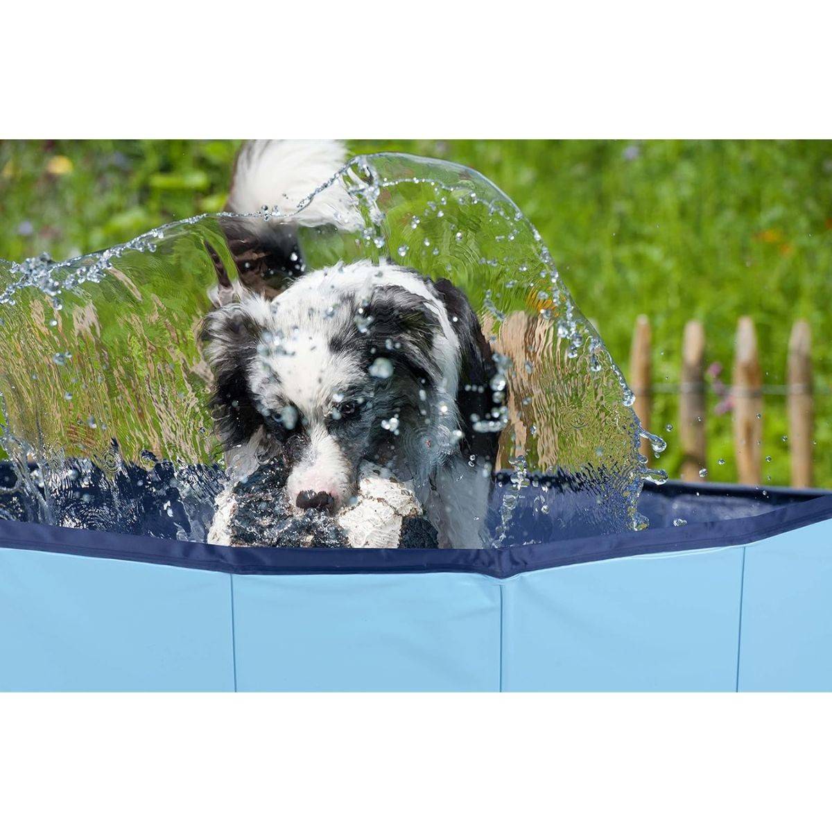 Piscine pour Chien PVC Ø 80 x 30 Cm Sol Antidérapant Jeu d'eau pour Animaux KZ GARDEN - Image 3