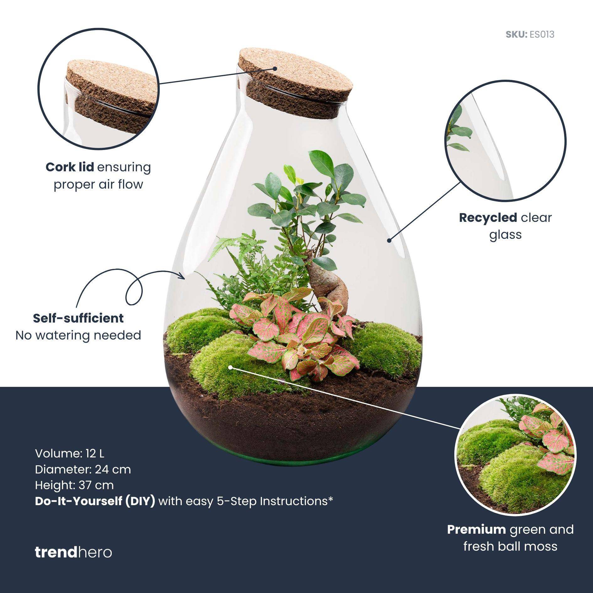 Terrarium à composer goutte en verre recyclé - Ø29-H37cm - sans outils - Terrarium DIY - Image 2