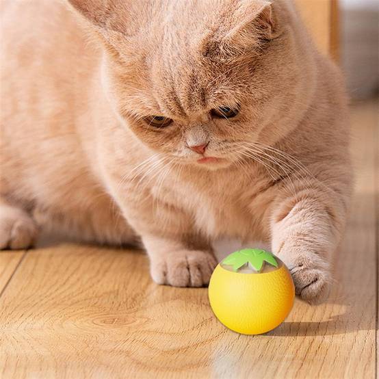 Balle interactive pour chien et chat(jaune) DtopbuyAge - Image 4